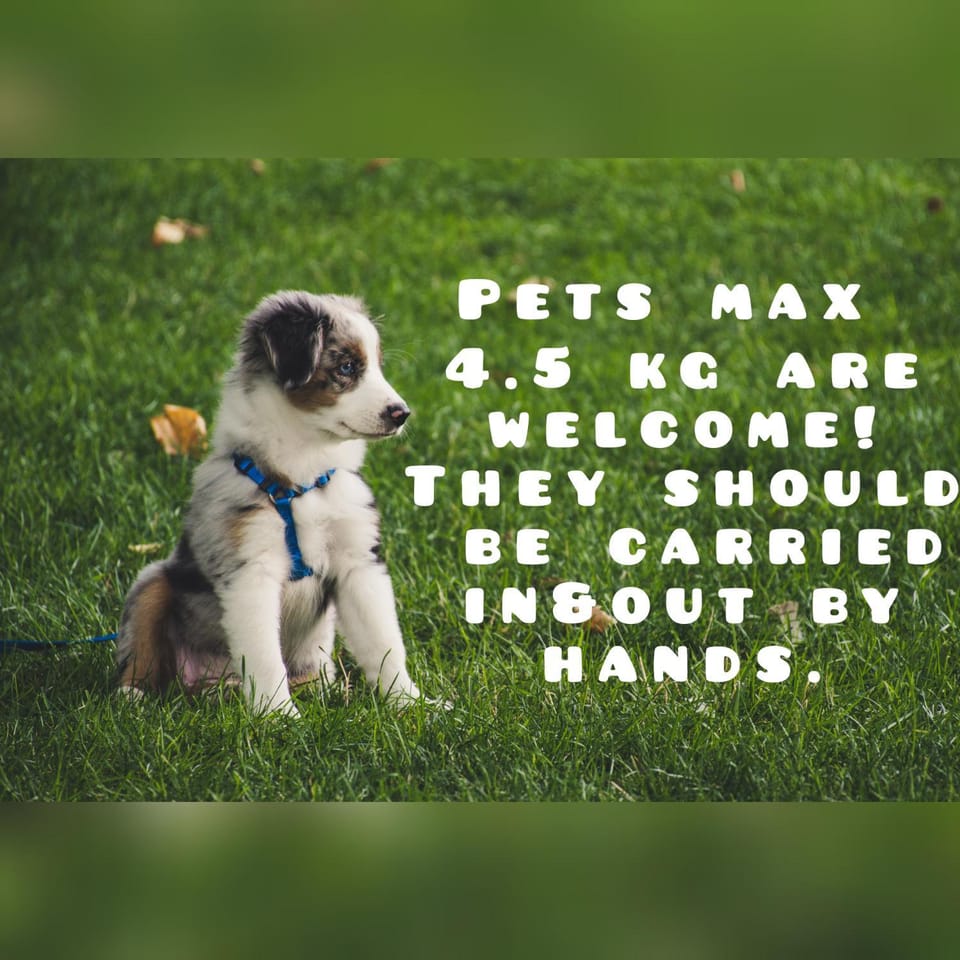Pets