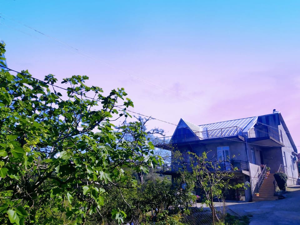 53 jincharadze street Makhinjauri, Batumi House in Adjara, Georgia