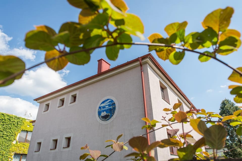 Penzion Leknín Bed and Breakfast in South Bohemian Region