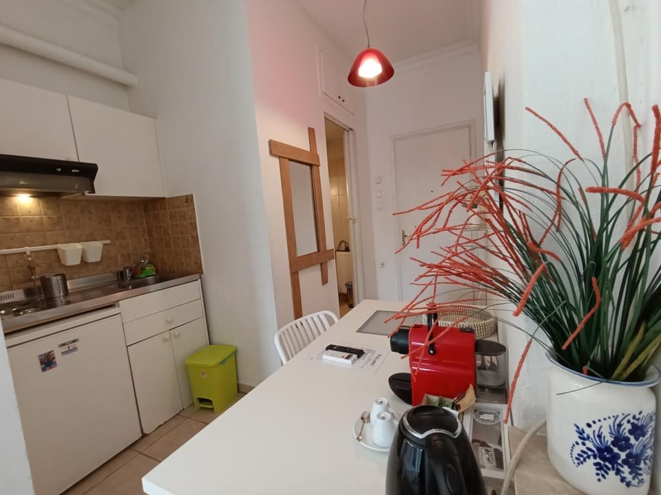 Hermes Trykonos Garden Thessaloniki - Central Oasis with free parking Apartment in Thessaloniki