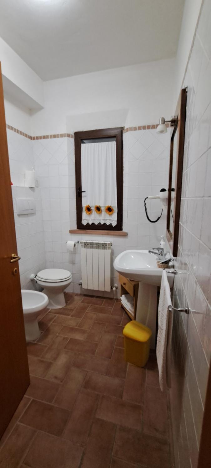 Affittacamere ALBA FIORITA Bed and Breakfast in Tuscany