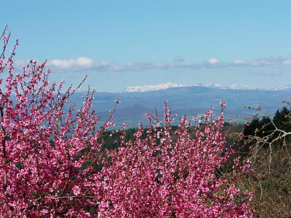 Natural landscape, Hiking