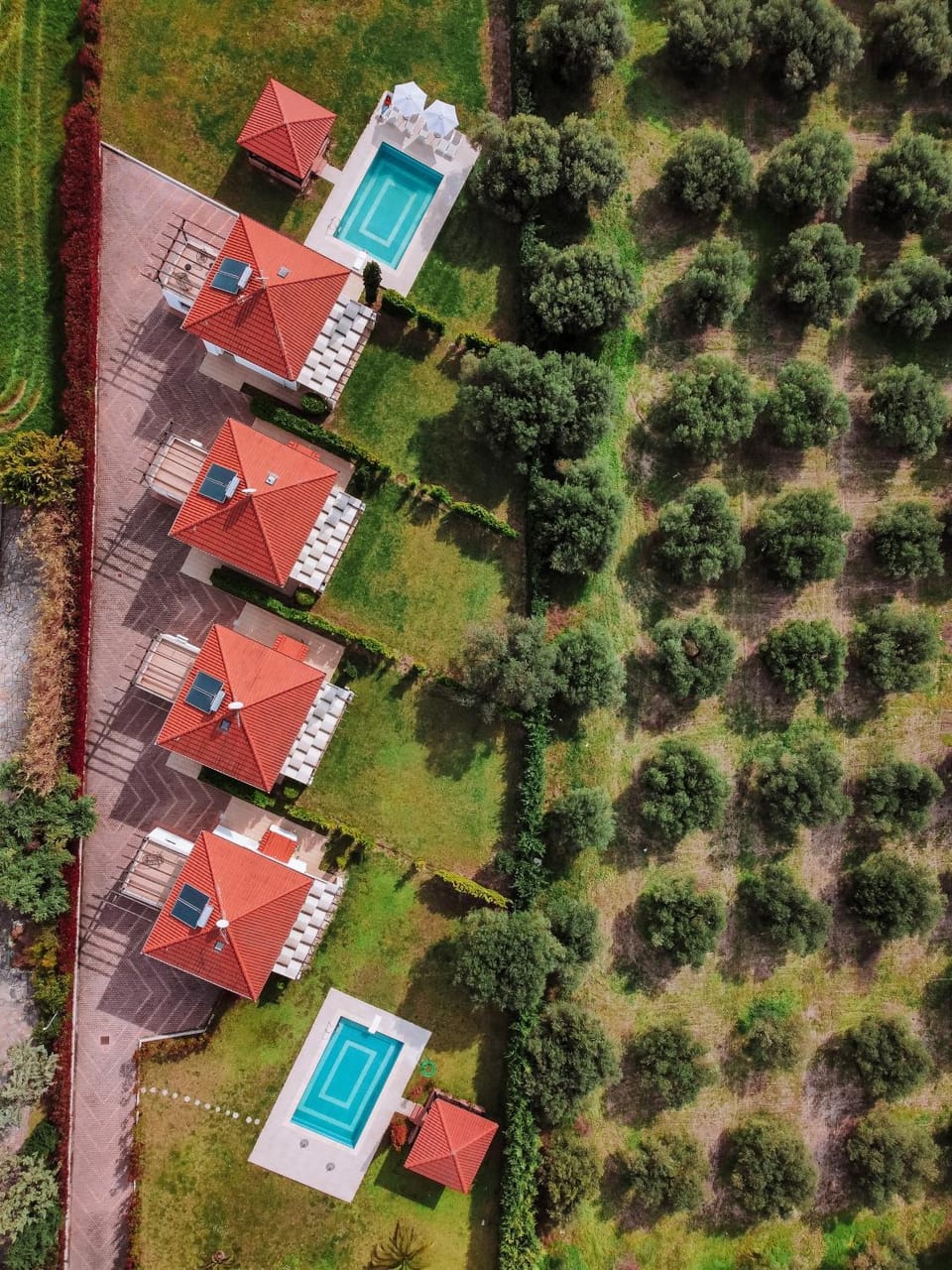 Property building, Bird's eye view
