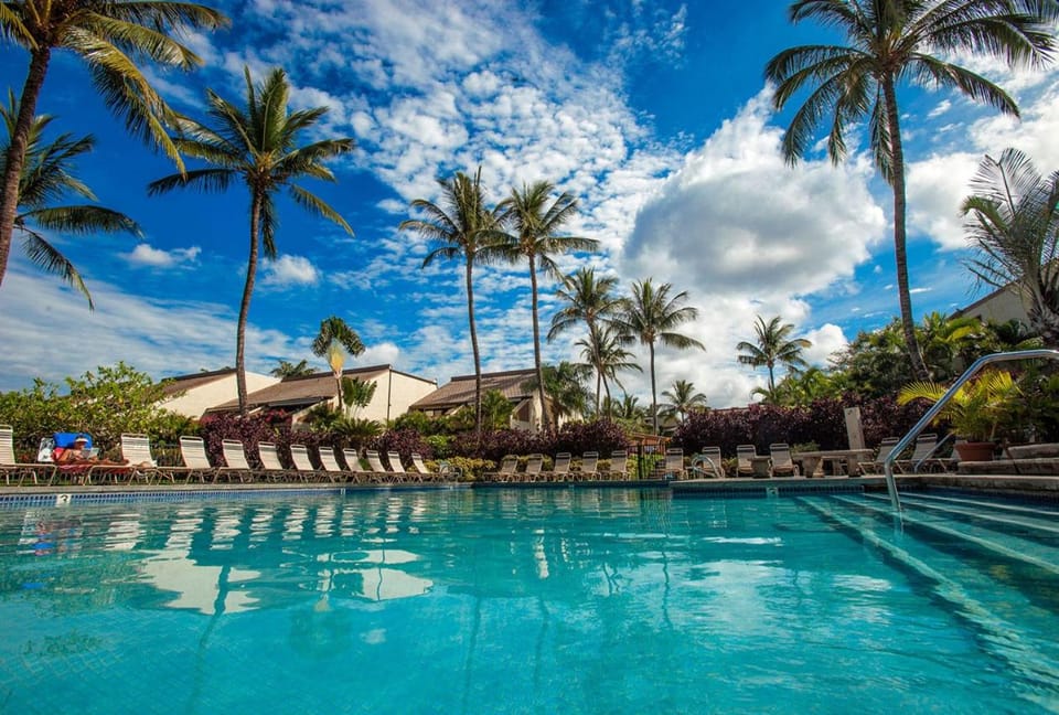 Natural landscape, Garden, Swimming pool