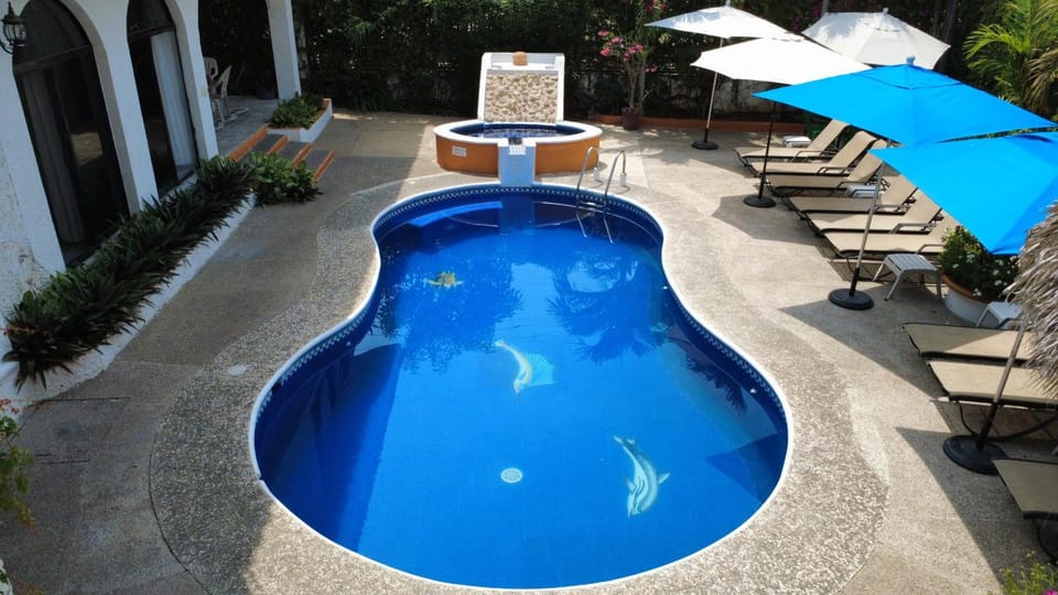 Patio, Solarium, Garden view, Pool view, Swimming pool, Inner courtyard view, sunbed