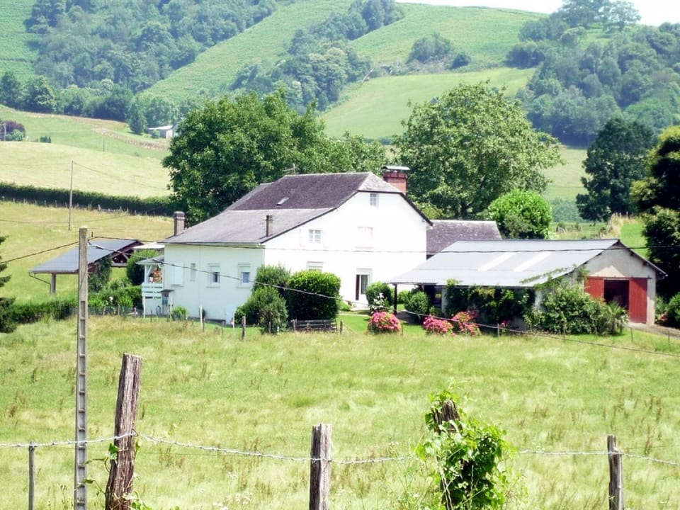Natural landscape