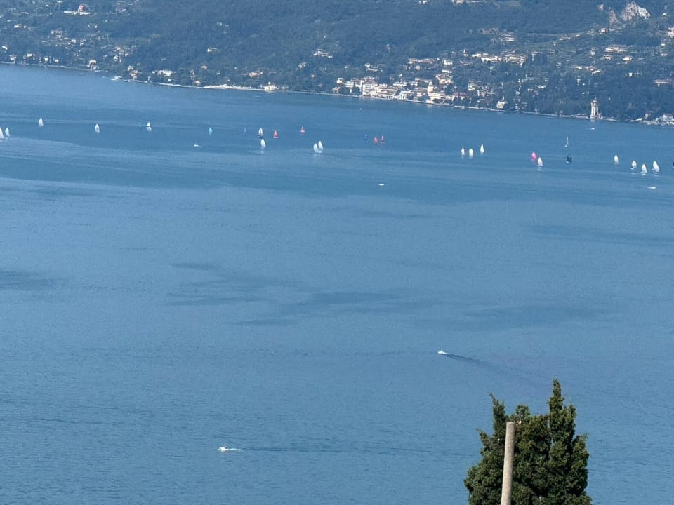 Lake view