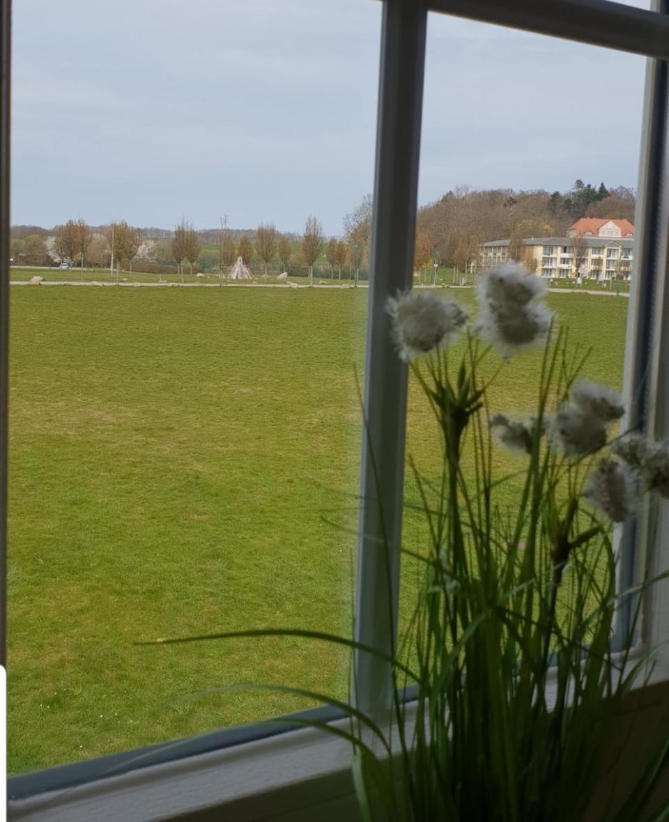 Ferienapartment Wiese & Meer auf Rügen Apartment in Mecklenburg-Vorpommern, Germany