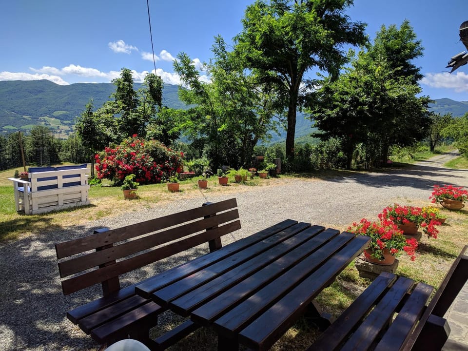 Serenella B&B Bed and Breakfast in Emilia-Romagna