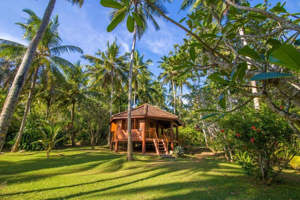 Day, Garden, Garden view