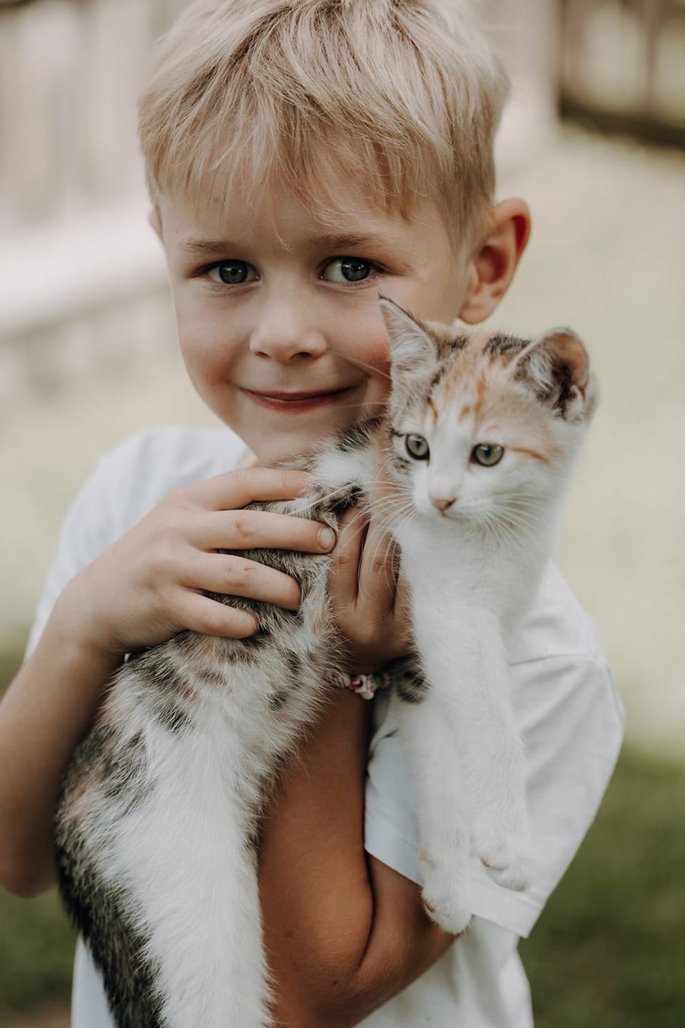 Animals