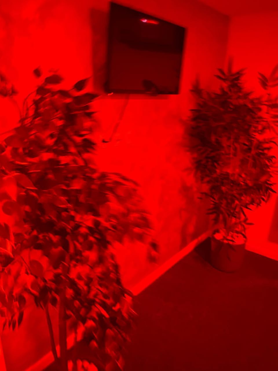 love love 23 Apartment in Villeurbanne