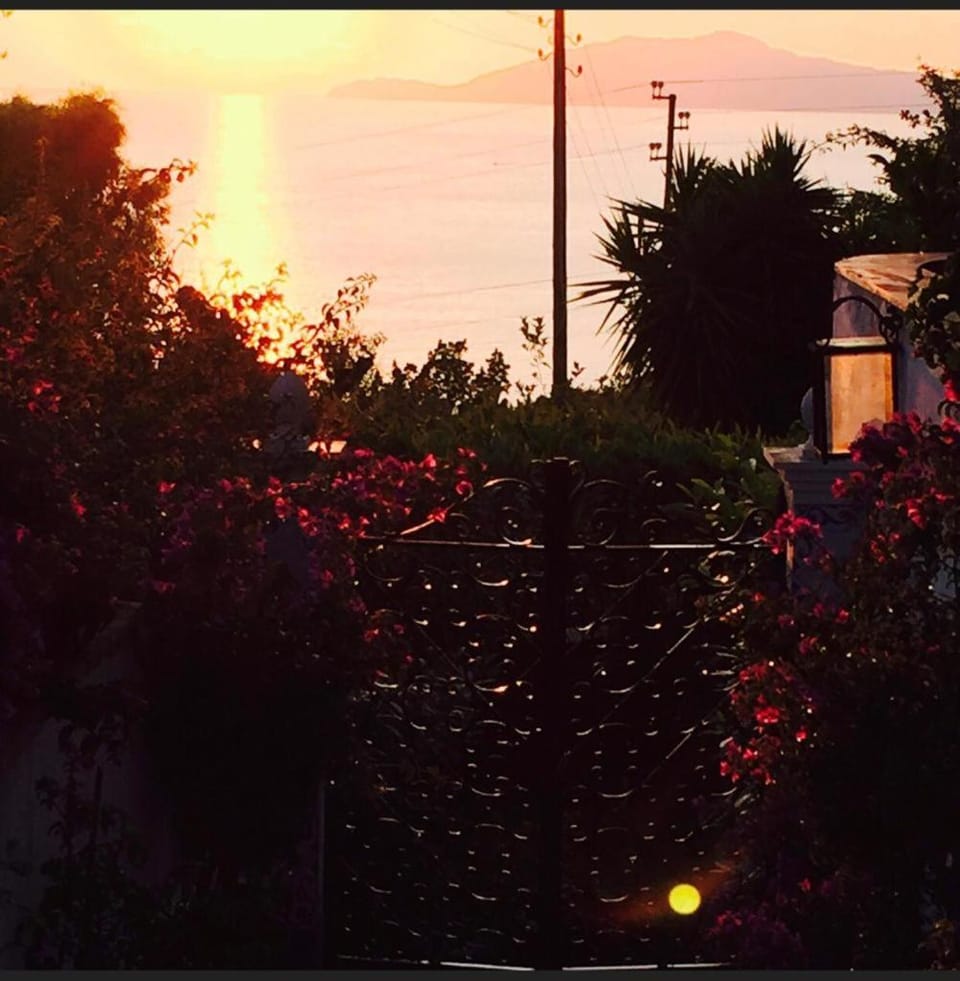 CASA SOFIA Bed and Breakfast in Anacapri