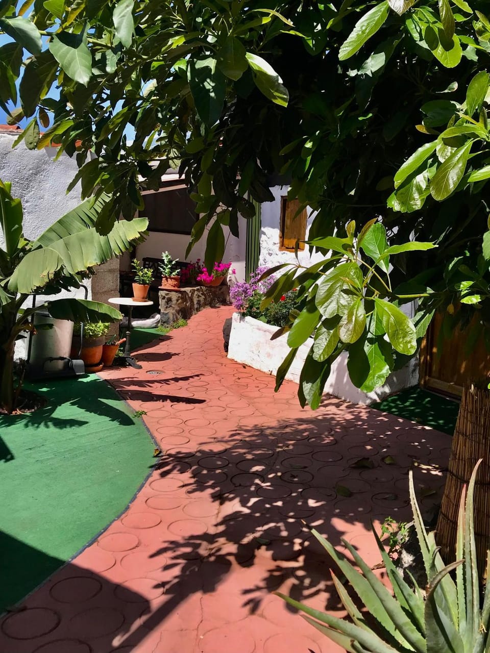 Patio