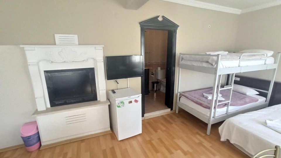 Communal lounge/ TV room, TV and multimedia, bunk bed