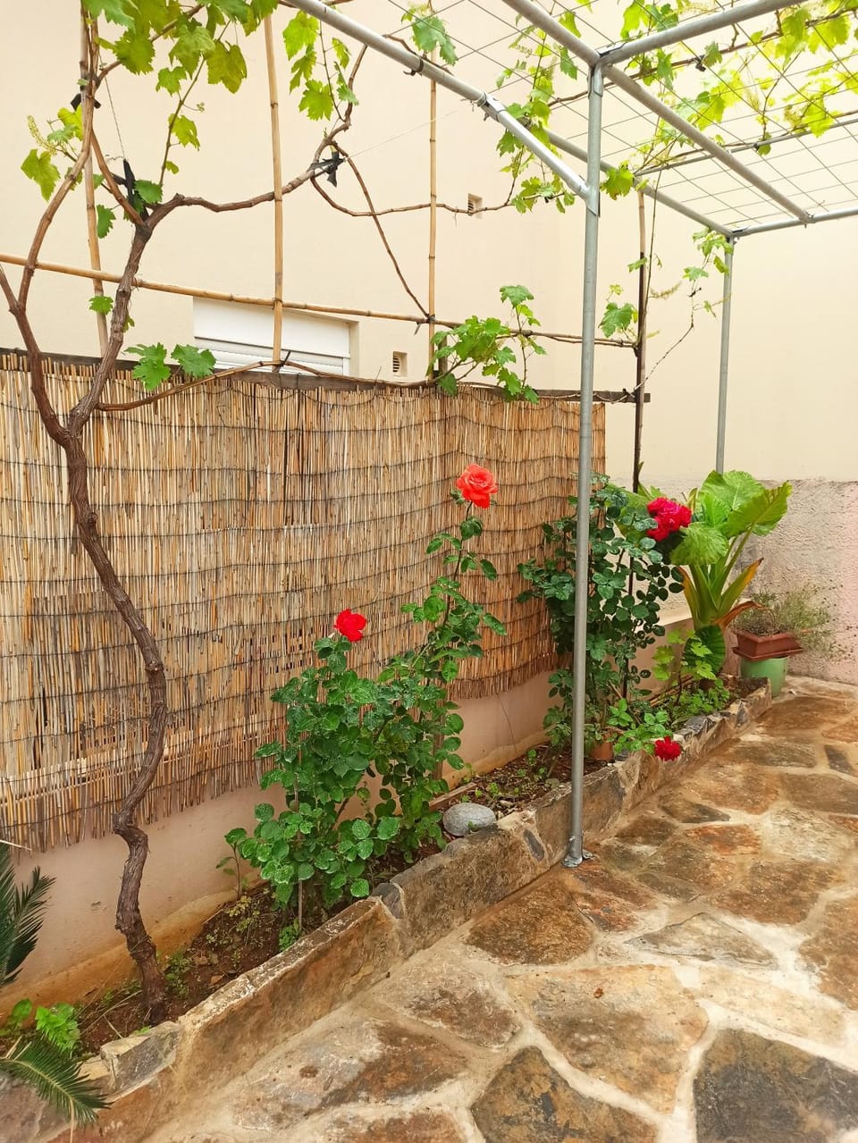Giorgos Studio Apartment in Lasithi