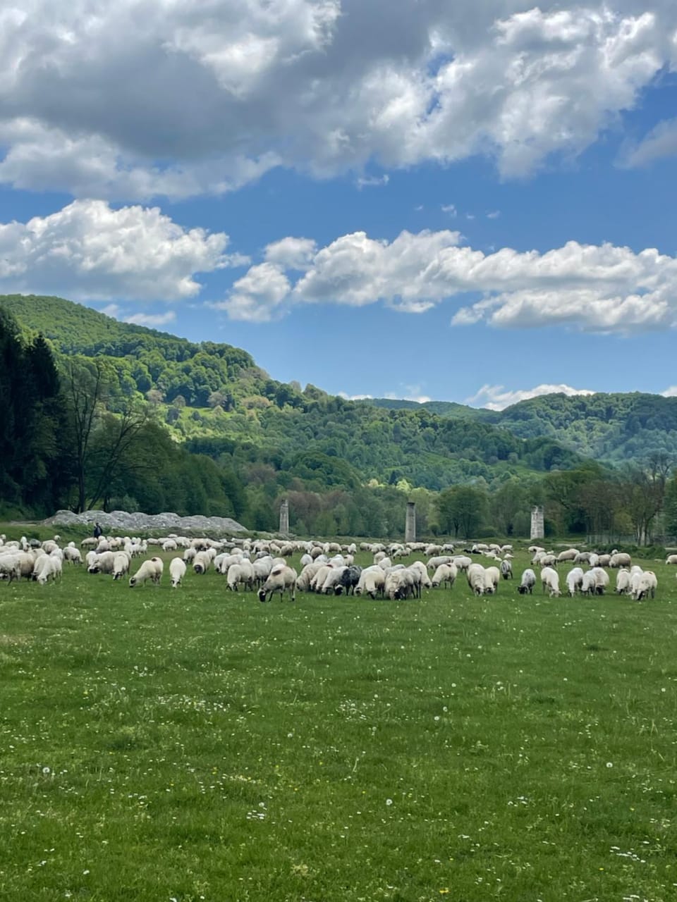 Pensiunea Trei Ponei Bed and Breakfast in Romania