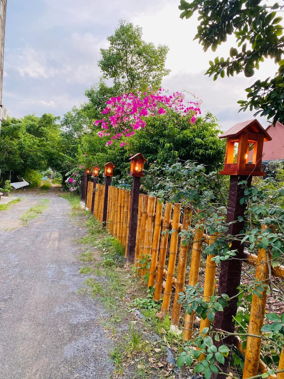 Natural landscape, Garden, Garden view