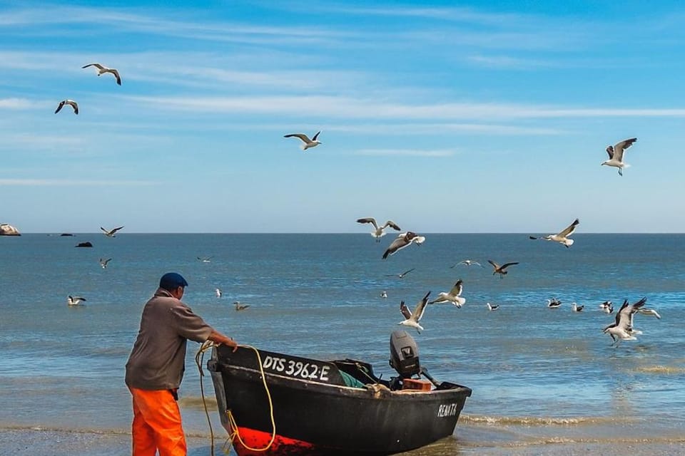 Activities, Beach, Sea view