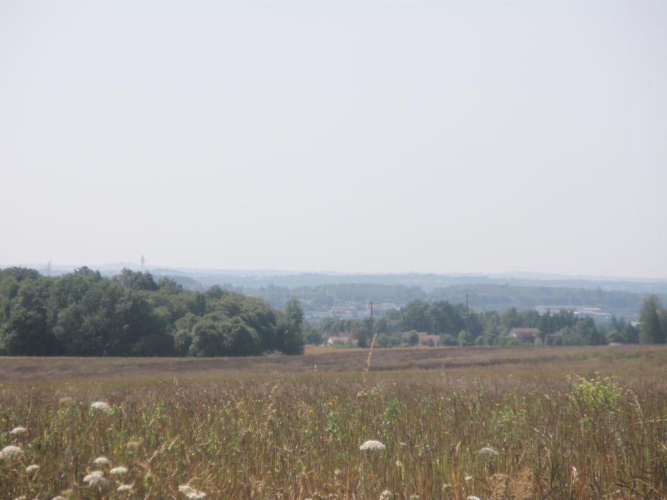 Natural landscape