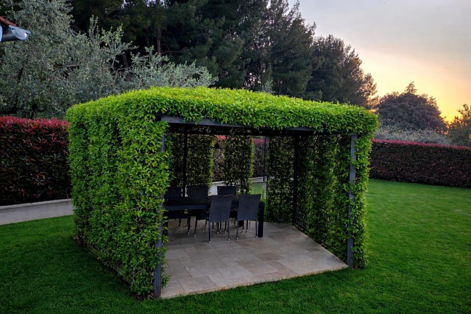 Patio, Garden