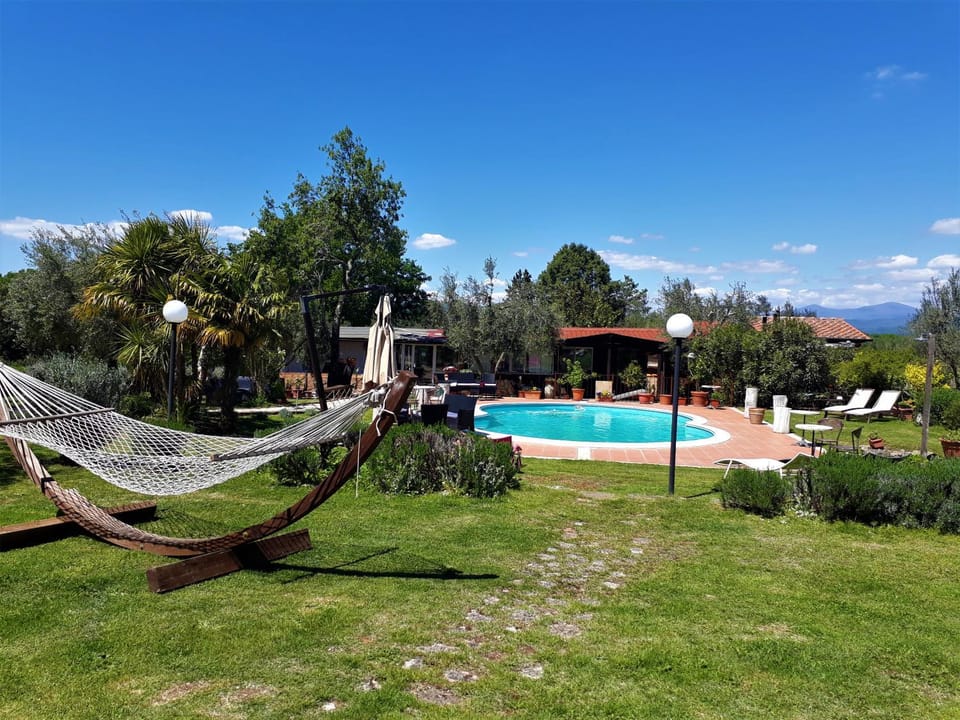 Swimming pool, Swimming pool