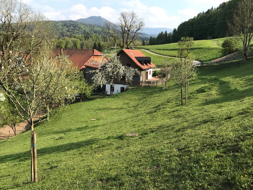 Property building, Natural landscape, Garden, Garden view, Garden view, Mountain view