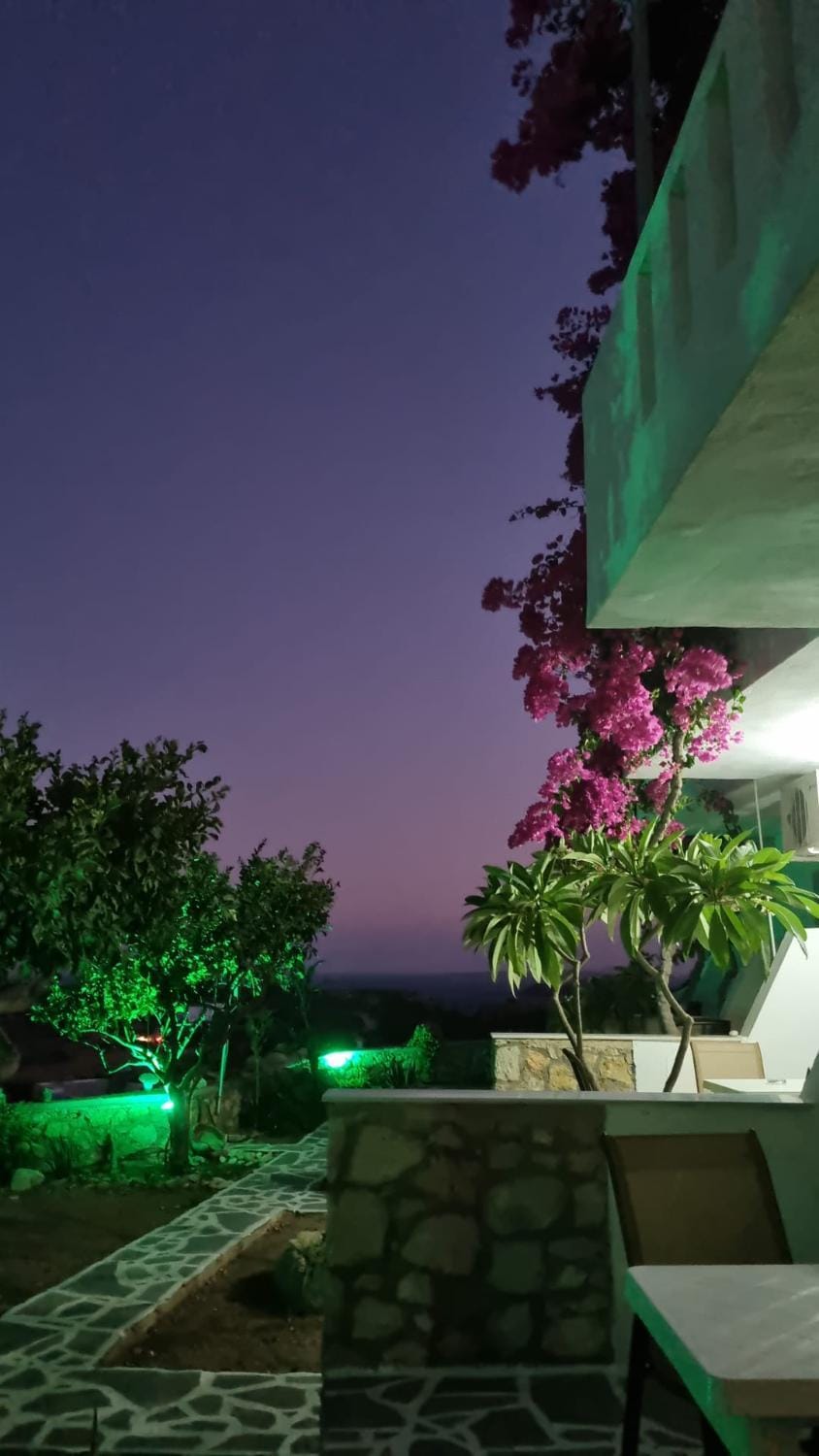 Property building, Night, Natural landscape, Garden, View (from property/room), Balcony/Terrace, Garden view