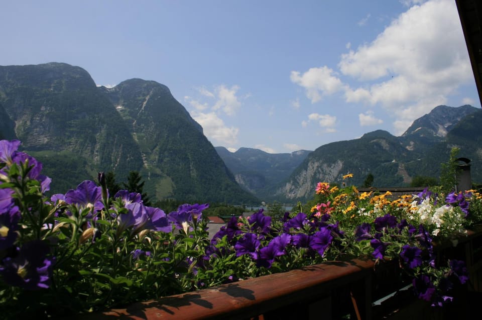 Balcony/Terrace, Mountain view
