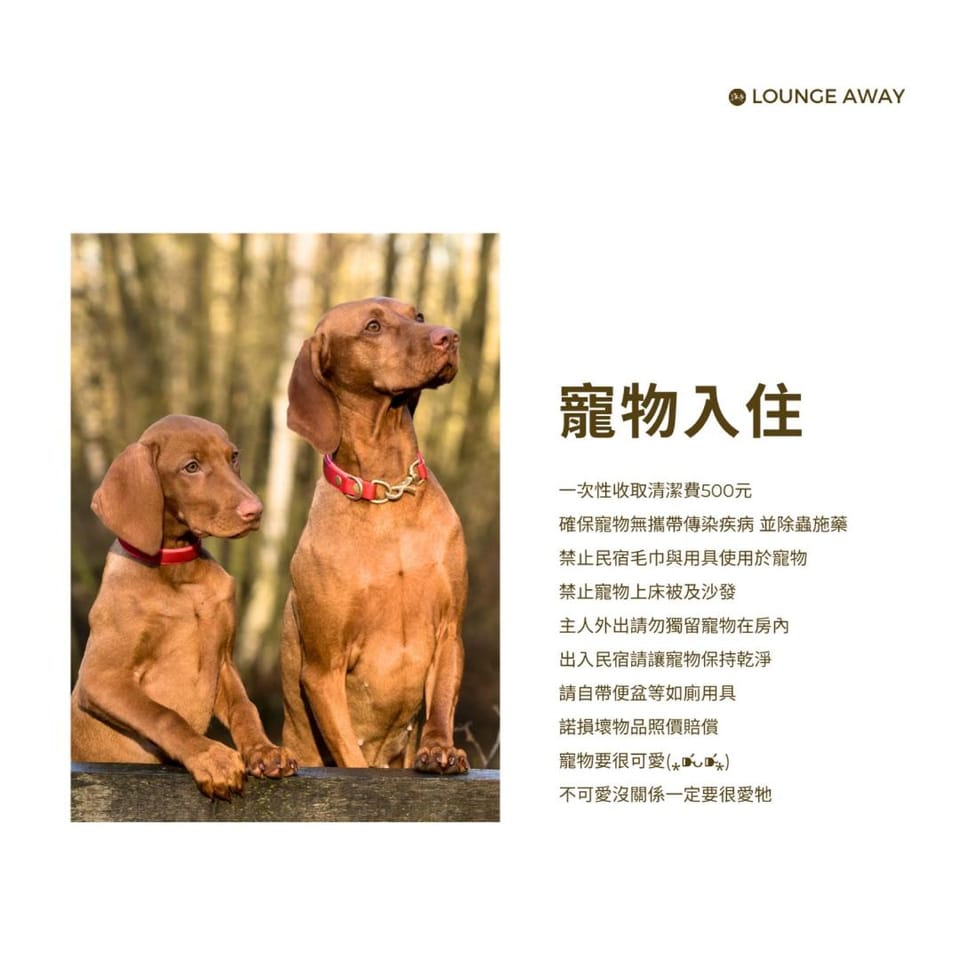 Pets, pet friendly