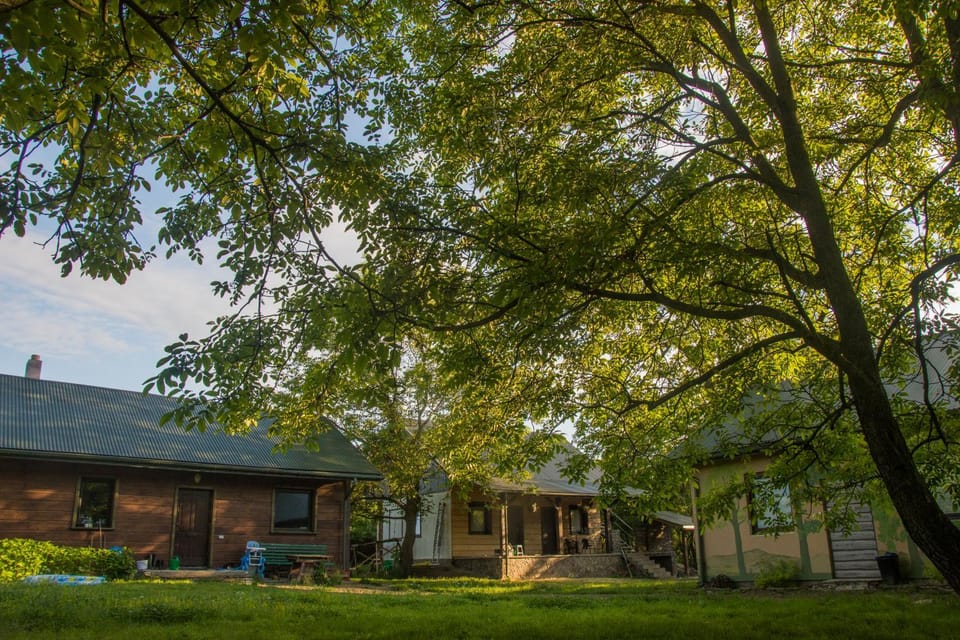 Property building, Natural landscape, Garden