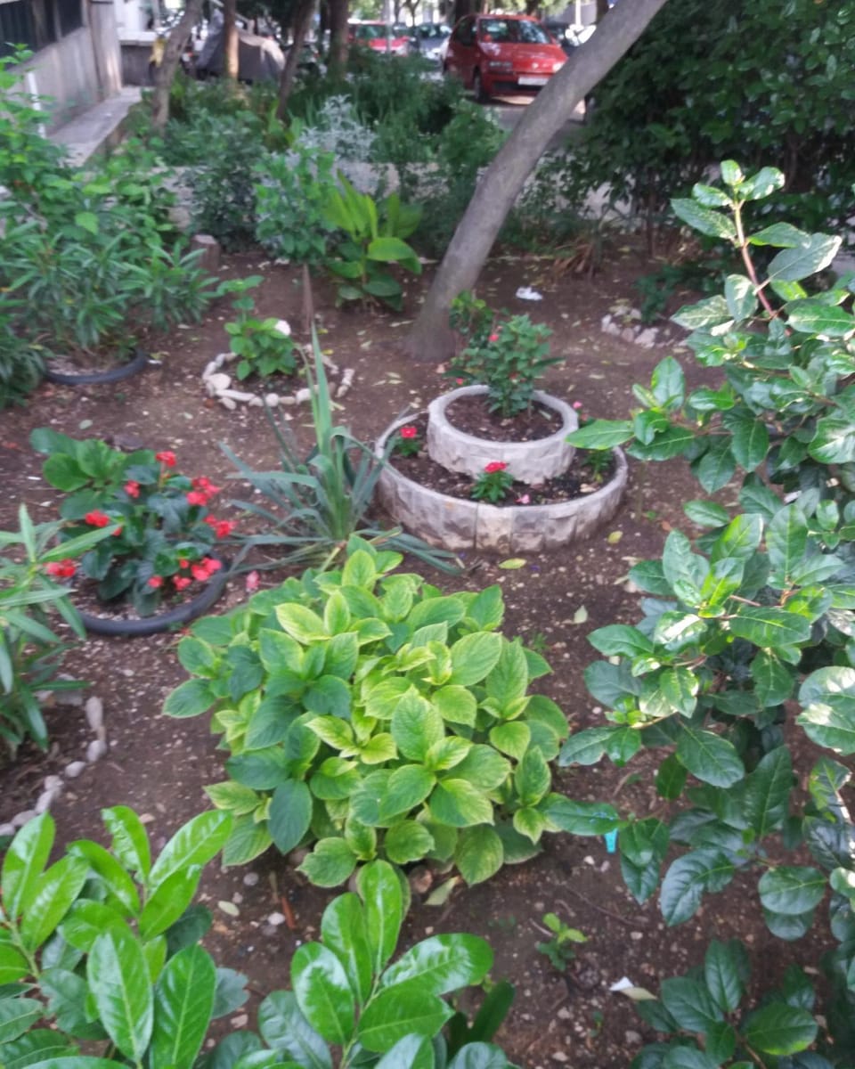 Garden view