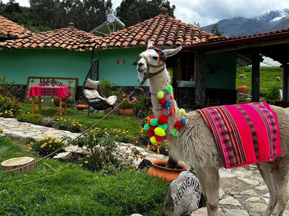Tullpa Rumy Lodge Bed and Breakfast in Ancash, Peru