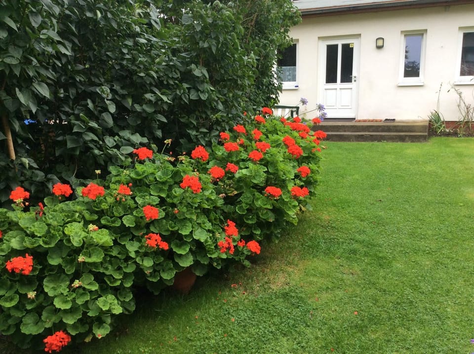 FeWo Wende Apartment in Heringsdorf
