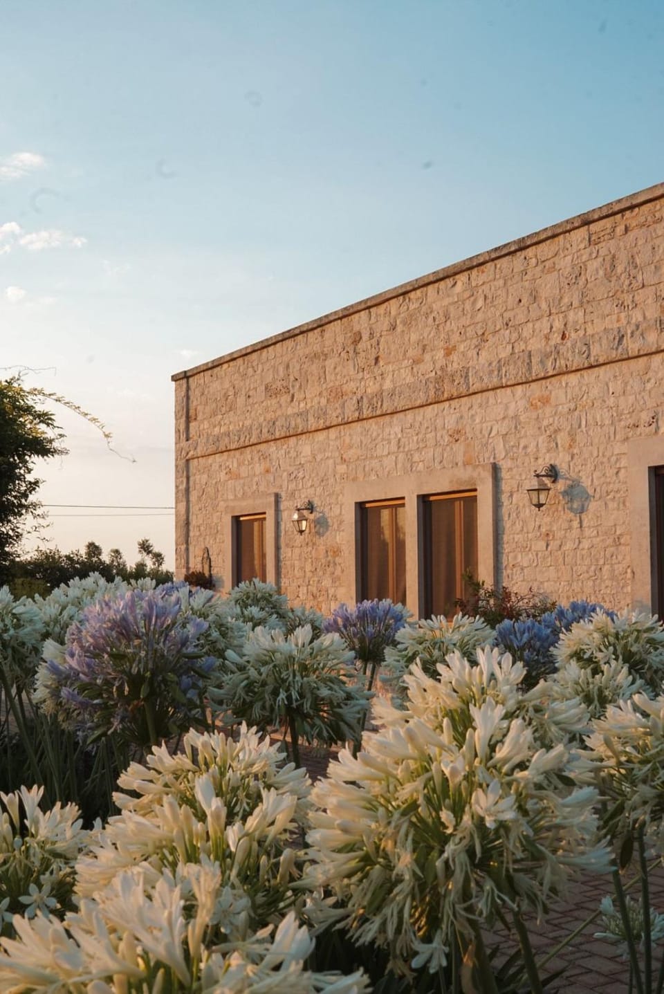 Property building, Garden view