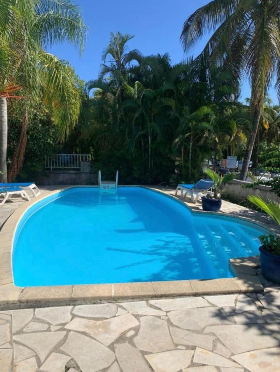 Pool view, Swimming pool, Swimming pool, sunbed