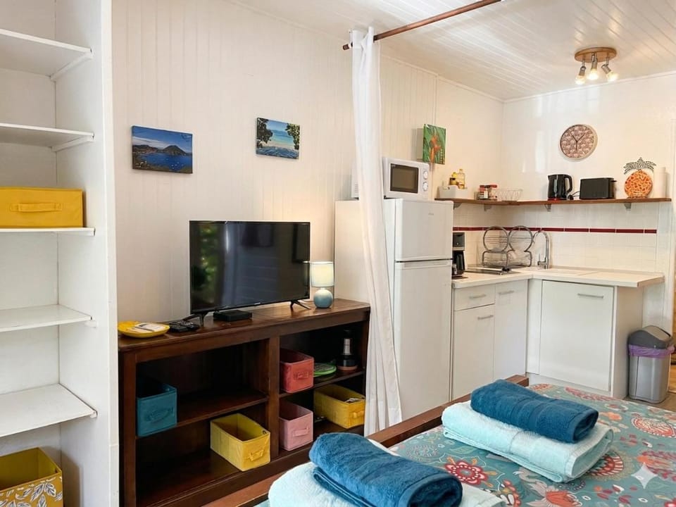 Bed, TV and multimedia, Kitchen or kitchenette, Photo of the whole room, Bedroom, stove