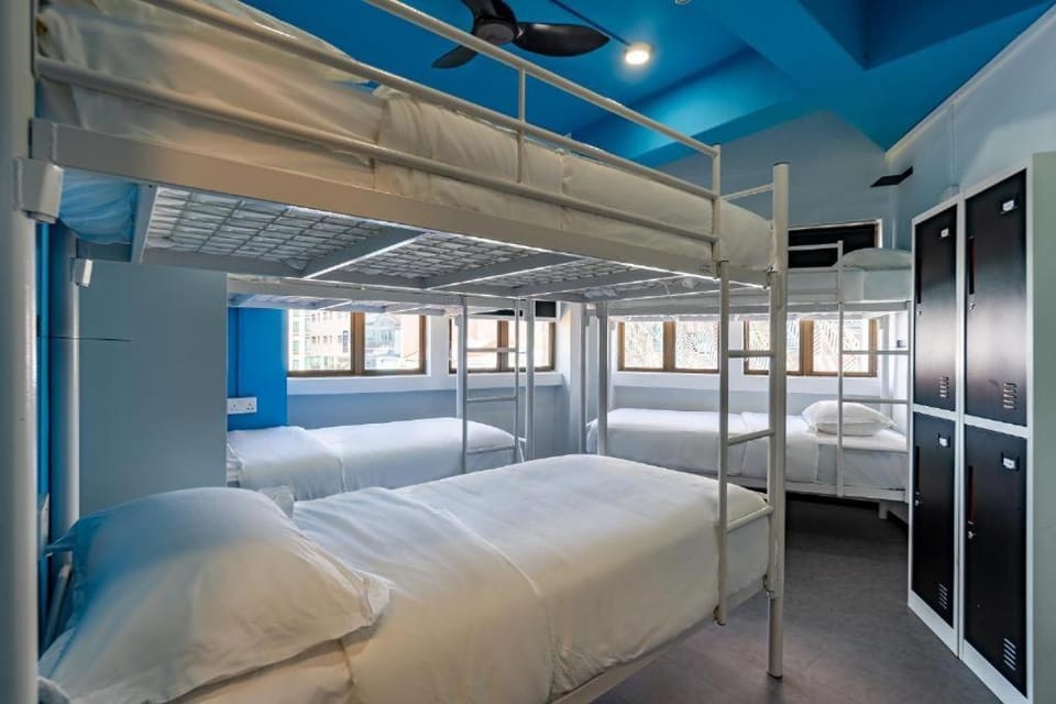 Bed, Photo of the whole room, bunk bed