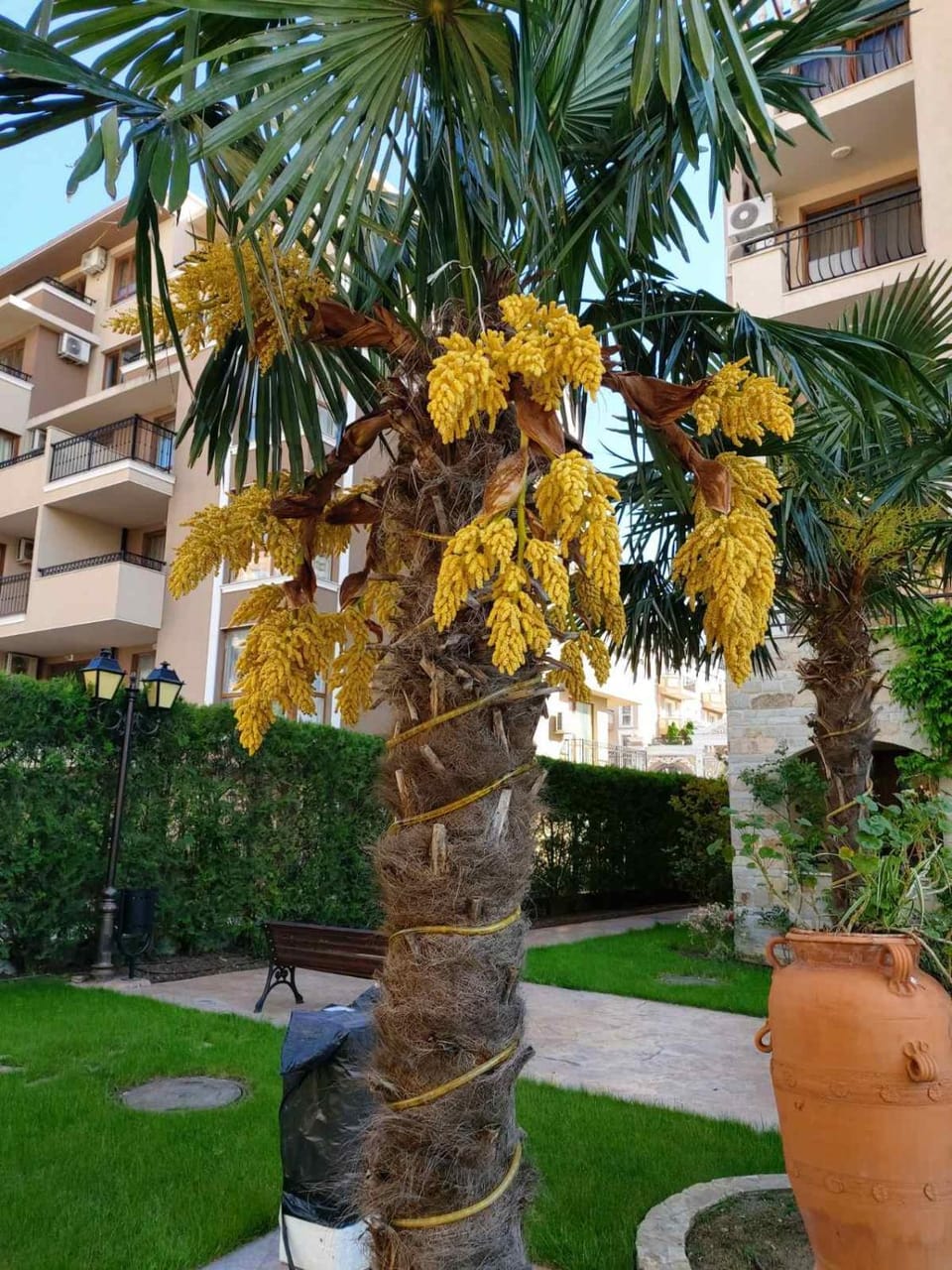 Garden view
