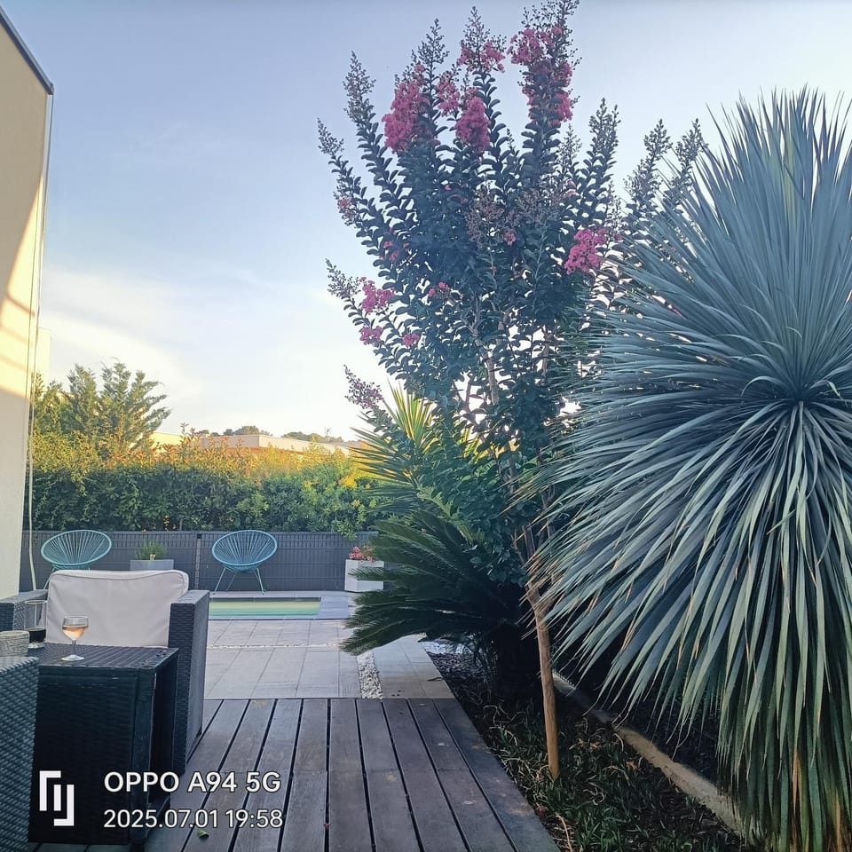 Garden, Garden view