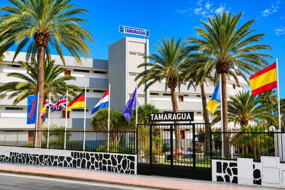 Property building, Facade/entrance, Day, Street view, Location