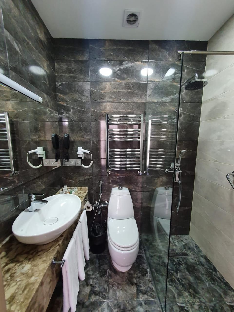 Shower, Toilet, towels