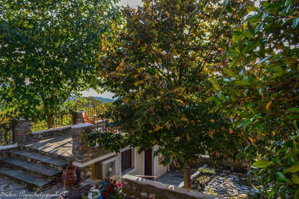 Garden, Balcony/Terrace