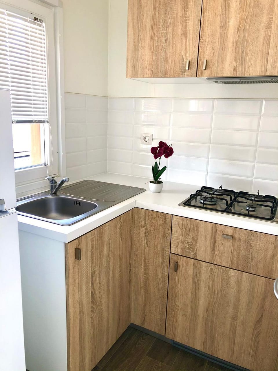 Camping Village Nice Garden Campground/ 
RV Resort in Lazio