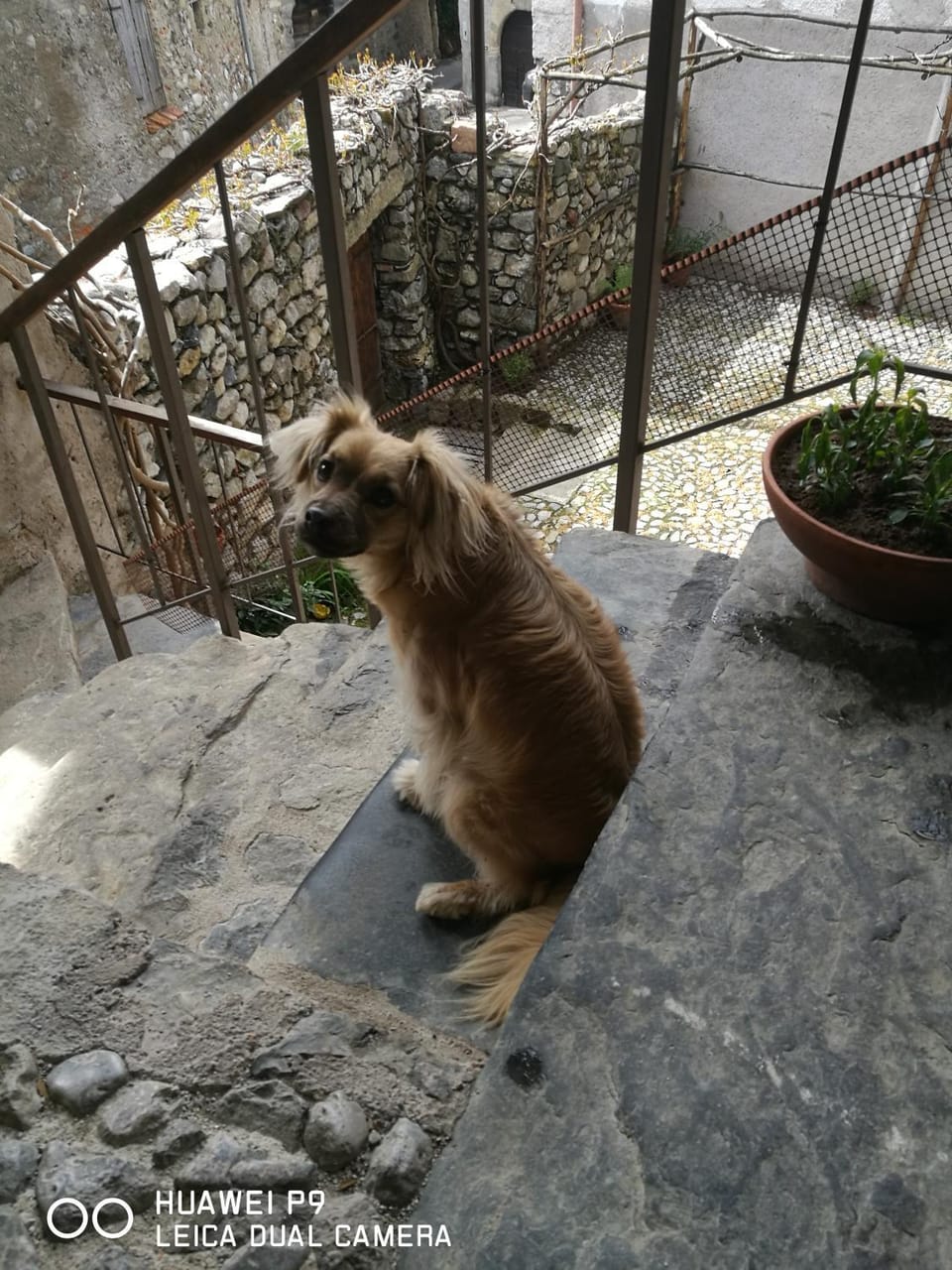 Bed and Breakfast Zanaglio Bed and Breakfast in Province of Brescia