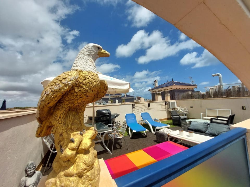 Day, BBQ facilities, Solarium, Balcony/Terrace, sunbed
