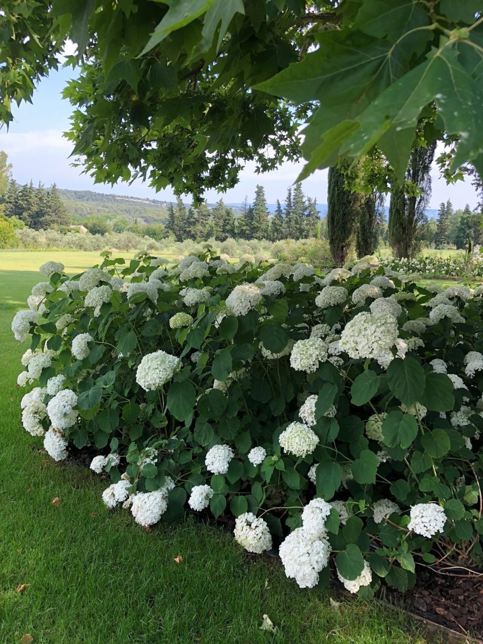 FOUR DE CONY Bed and Breakfast in L'Isle-sur-la-Sorgue