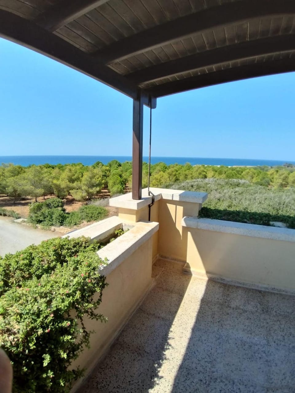 Balci Plaza Hotel and Balci Plaza guest Bungalows Karpaz peninsula Apartment hotel in Famagusta District