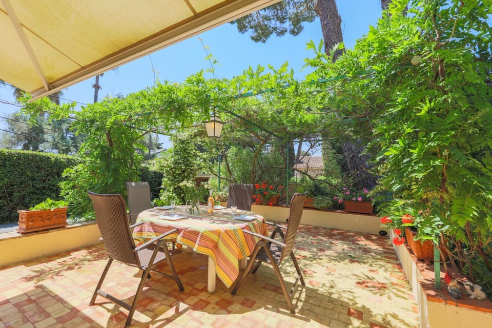 Patio, Dining area
