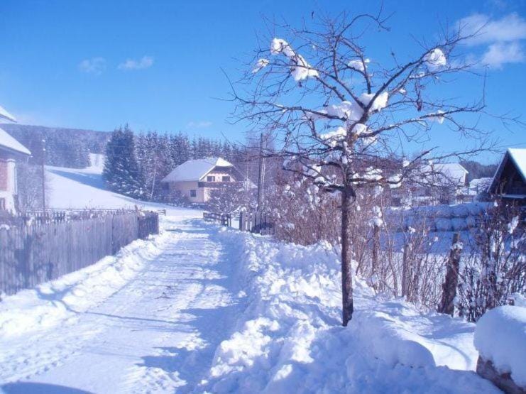Natural landscape